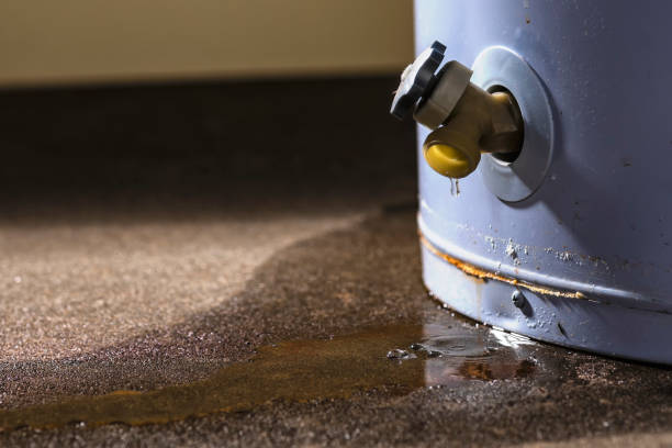 Best Water damage cleanup near me  in Stearns, KY