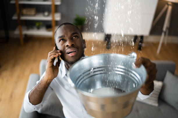 Best Water damage contractors near me  in Stearns, KY