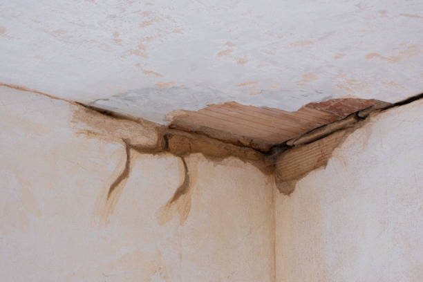 Best Water damage restoration near me  in Stearns, KY